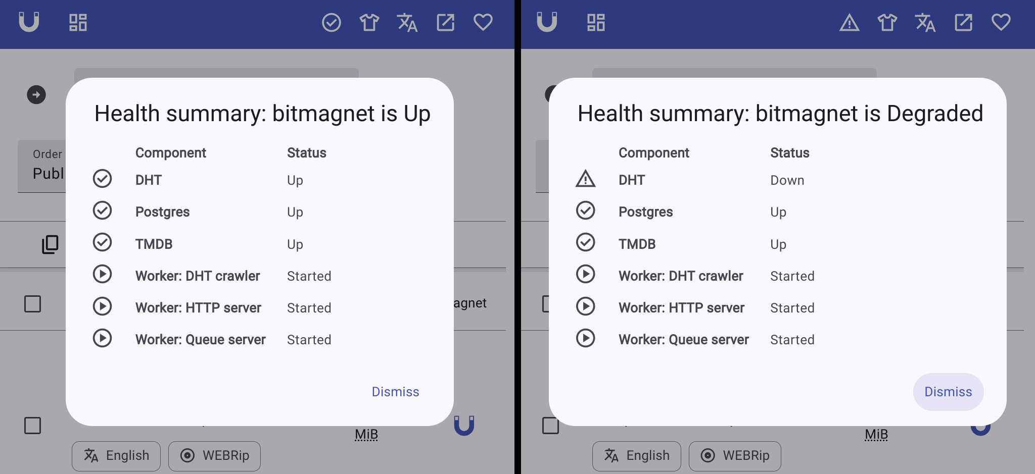WebUI 健康检查截图